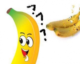 �����㽶�ĸ�ЦͼƬ����