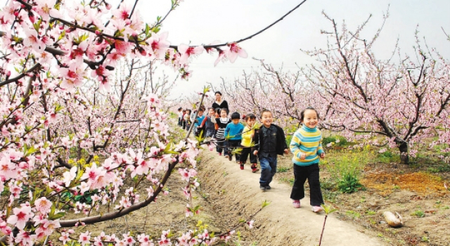 2016年清明节踏青作文推荐 去大山上感受星星点点的春意