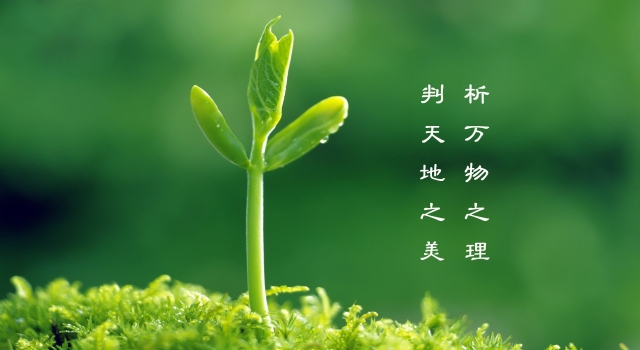 关于清明节的风俗介绍 中华民族认祖归宗的纽带