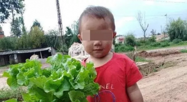 昆明走失男童遗体怎么了?父亲悔不该当初,排除他杀