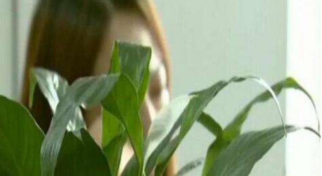 女子网恋骗168万怎么回事?为何轻易地就给对方转如此多的钱