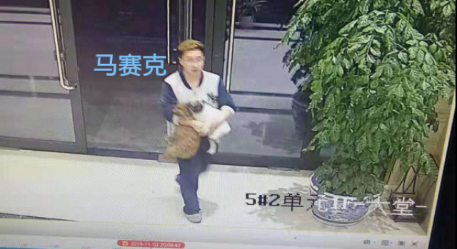 杭州狗主人被刑拘怎么回事?遛狗不牵绳还有理打人?