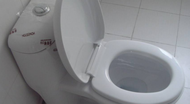 马桶和蹲便器如何选择?越来越多的人选择蹲便器