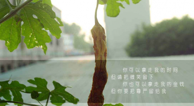 关于白衬衫的文艺句子 句句续写这主人的故事