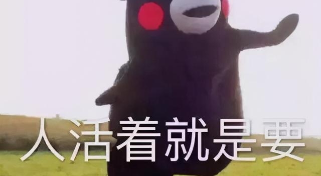 王一博宋茜井柏然杨紫白敬亭谭松韵,近期开机新剧最期待哪部?