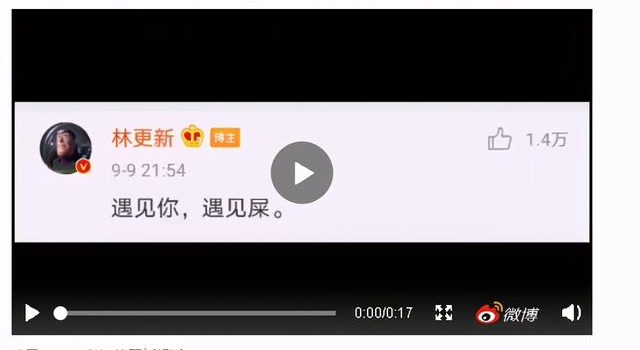 林更新,被称为娱乐圈反黑第一人,他的反黑能力有多强?