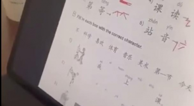 张柏芝陪儿子学中文,母子互动超温馨,课本内容曝光引热议