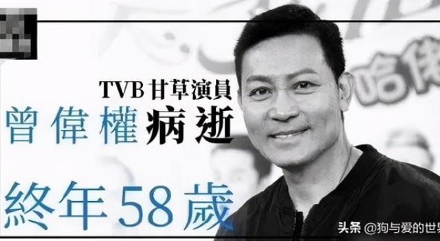 TVB曾伟权患癌离世,临终遗嘱里仍放不下那些流浪狗……
