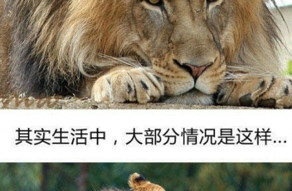 有了孩子后生活就是这样的~