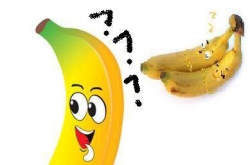 㽶ĸЦͼƬ