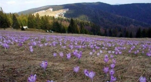 春节穷游去哪里好？十大穷游胜地欢迎你