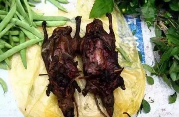 云南另类美食：虫子竹鼠生皮等你来战