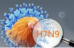 h7n9ʲô h7n9֢״ӦԴʩ֪