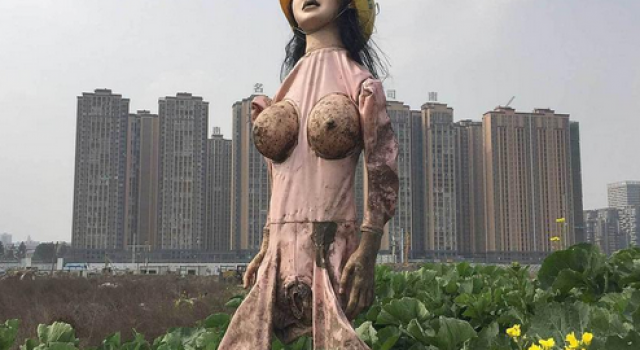 史上身材最美稻草人:成都农民将充气娃娃伪装成稻草人