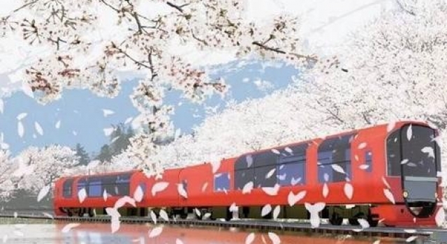 三月我们坐着列车去看日本樱花 体验粉色的梦幻世界
