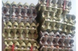 յӲƷ1200ö Ϸ1ȫ