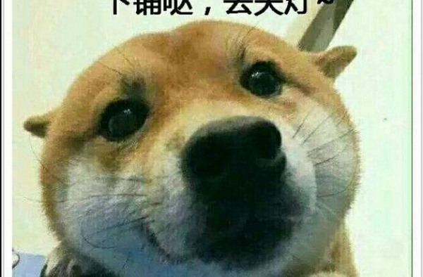 傻狗 究竟该谁去关灯 这里面一定有你