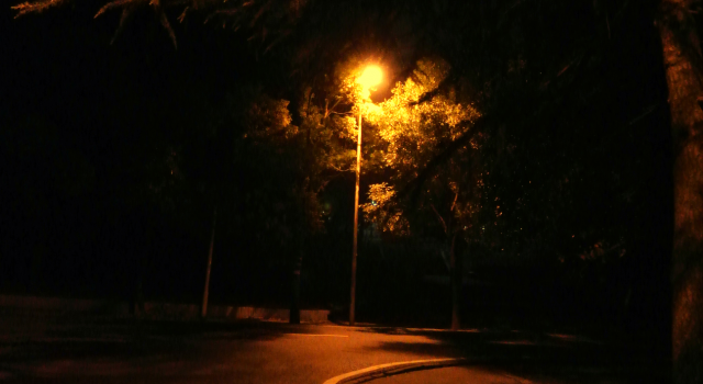 抓住那丝光芒 让约会更加的浪漫温暖