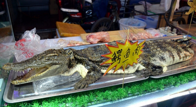 沈阳惊现20元一串鳄鱼烤肉串 活鳄鱼现场宰引注目