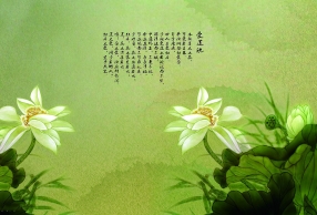 ֮Ҳ