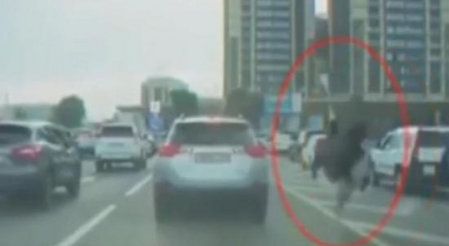 防堵车神器!男子骑鸵鸟马路上狂飙超车 乐坏众人