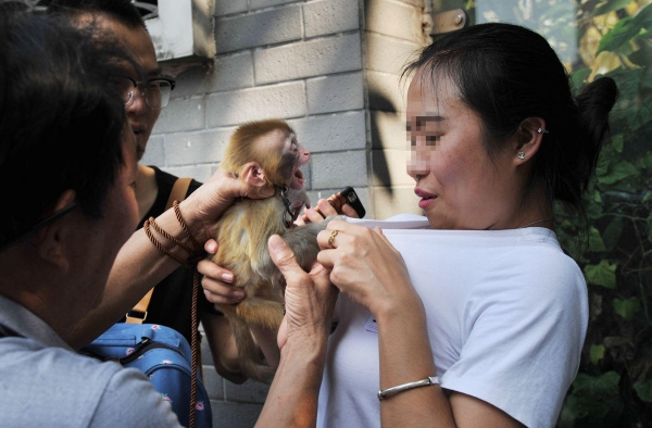 爱我你怕了吗 女游客遭合影小猴哥袭胸