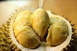 ʷײеĺڰϮ 