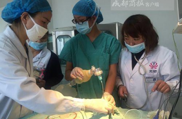 心痛！双胞胎女婴早产不足1公斤父母考虑放弃治疗