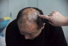 ��ϵ�������� �԰������巸����������ͥ����