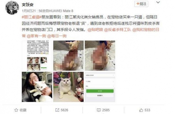 女子买猫反悔欲退货 把猫剥皮放宠物店门口示威