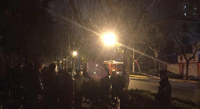 夜间上海居民楼坍塌 大晚上的鸡飞狗跳上演变式地震