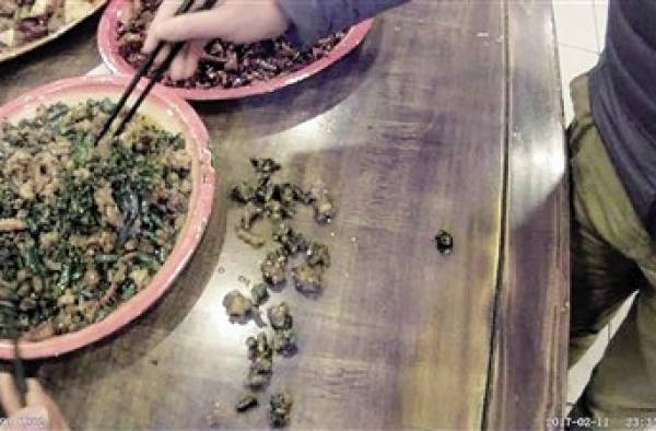 一定是吃了只假鸡!男子1只鸡吃出10个鸡爪 鸡竟没死