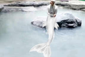 һǾе ӱ˯ˣ̫