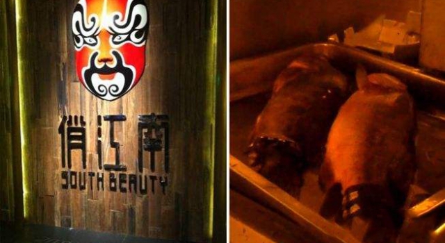 俏江南仍然死心不改 食药监介入调查"黑厨房"门店仍营业