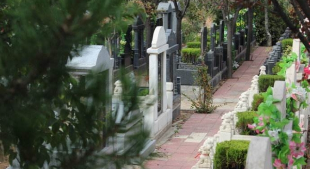 职业扫墓人不仅代替扫墓还能“替哭”费用分3个等级