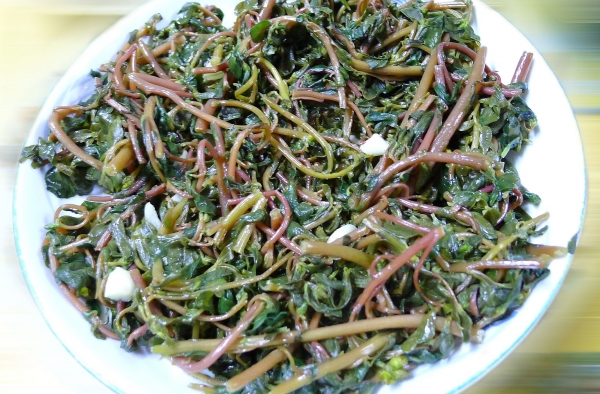 老家地里挖出的野菜 祛痘润肤效果好，关键好吃不花钱