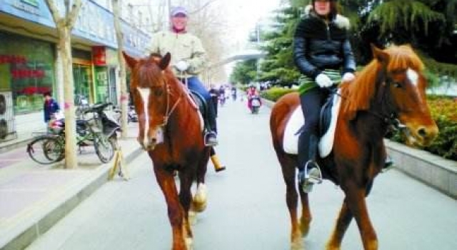 男子市中心遛马引众人围观 称：马路马儿当然可以走