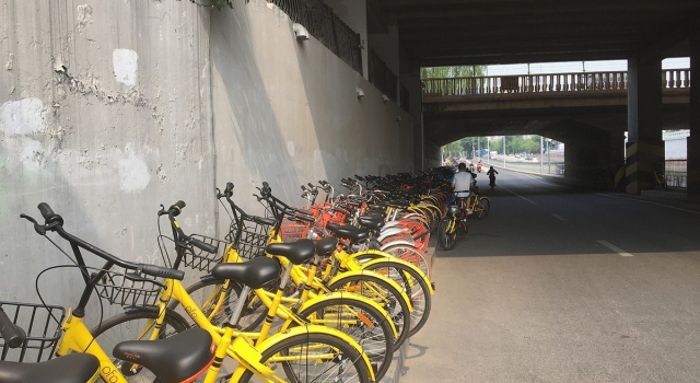 北京共享单车带占人行道 长度竟有300米