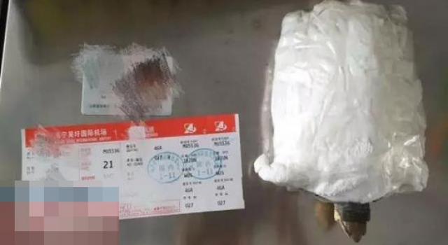 过安检的奇葩事 男子过安检裆部藏乌龟