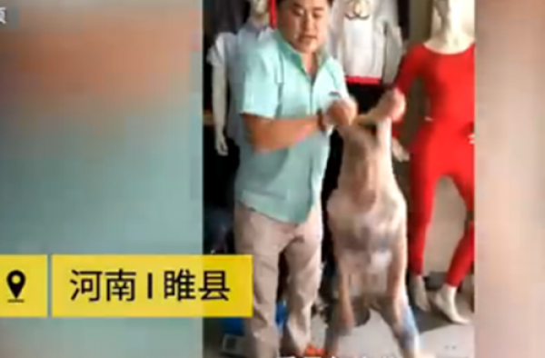 是亲爹吗？ 男子将儿子装入丝袜测质量 儿子表示很无奈