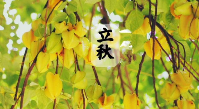 立秋吃什么怎么养生 各地的饮食习俗大全