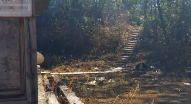 山东嘉祥发生重大杀人案件 警方悬赏抓捕嫌犯