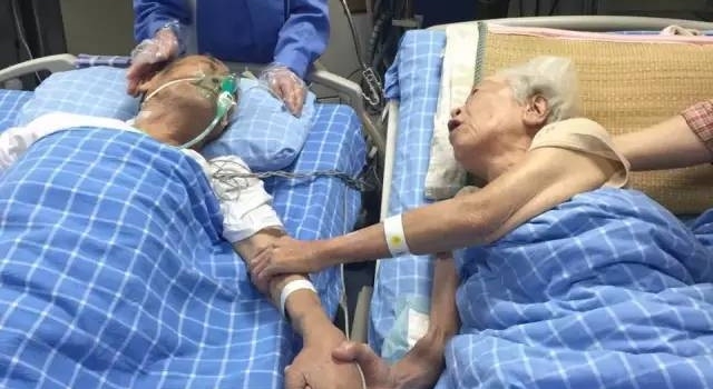 奶奶让数亿人泪崩 曾感动无数人的牵手老奶奶走了……