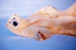 ¼Ƭ ļɻлᵽȥ