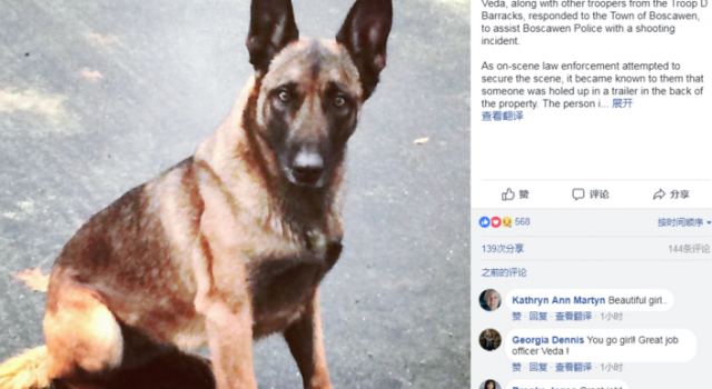 男子拒捕咬警犬头 警犬立刻返头扑咬