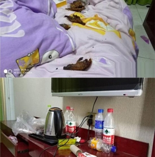 房间变成了垃圾场 这10秒视频看的触目惊心……
