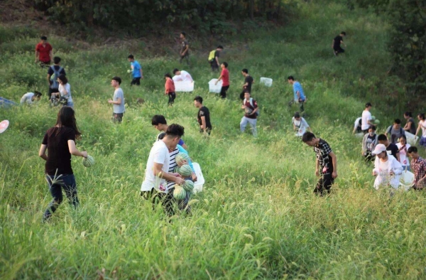 大学不种地不让毕业 校方：培养学生吃苦耐劳精神