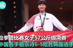 ������ȭ��������ƫ̻����ѡ��,�й�����ʫ��Ȼսʤ���֣�