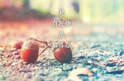 ҹ Ȧرľ仰߽