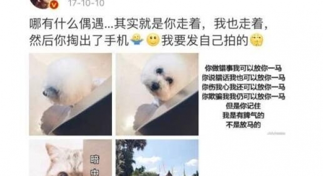 赵丽颖置顶微博 间接否认怀孕，网友赞其情商真高！
